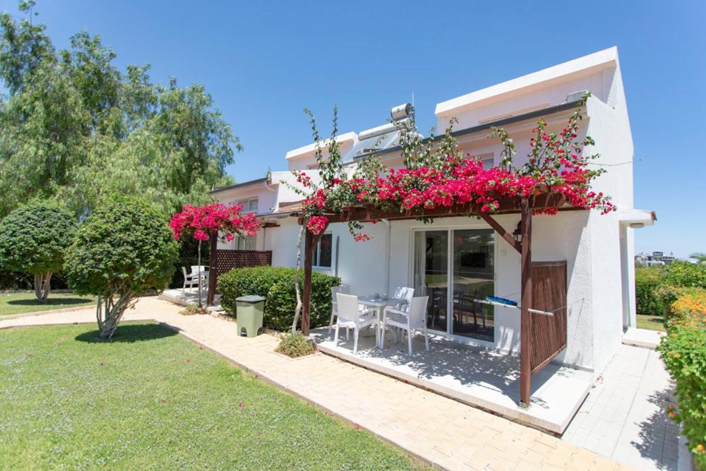 Citrus Tree Gardens Otel Karavas  Dış mekan fotoğraf