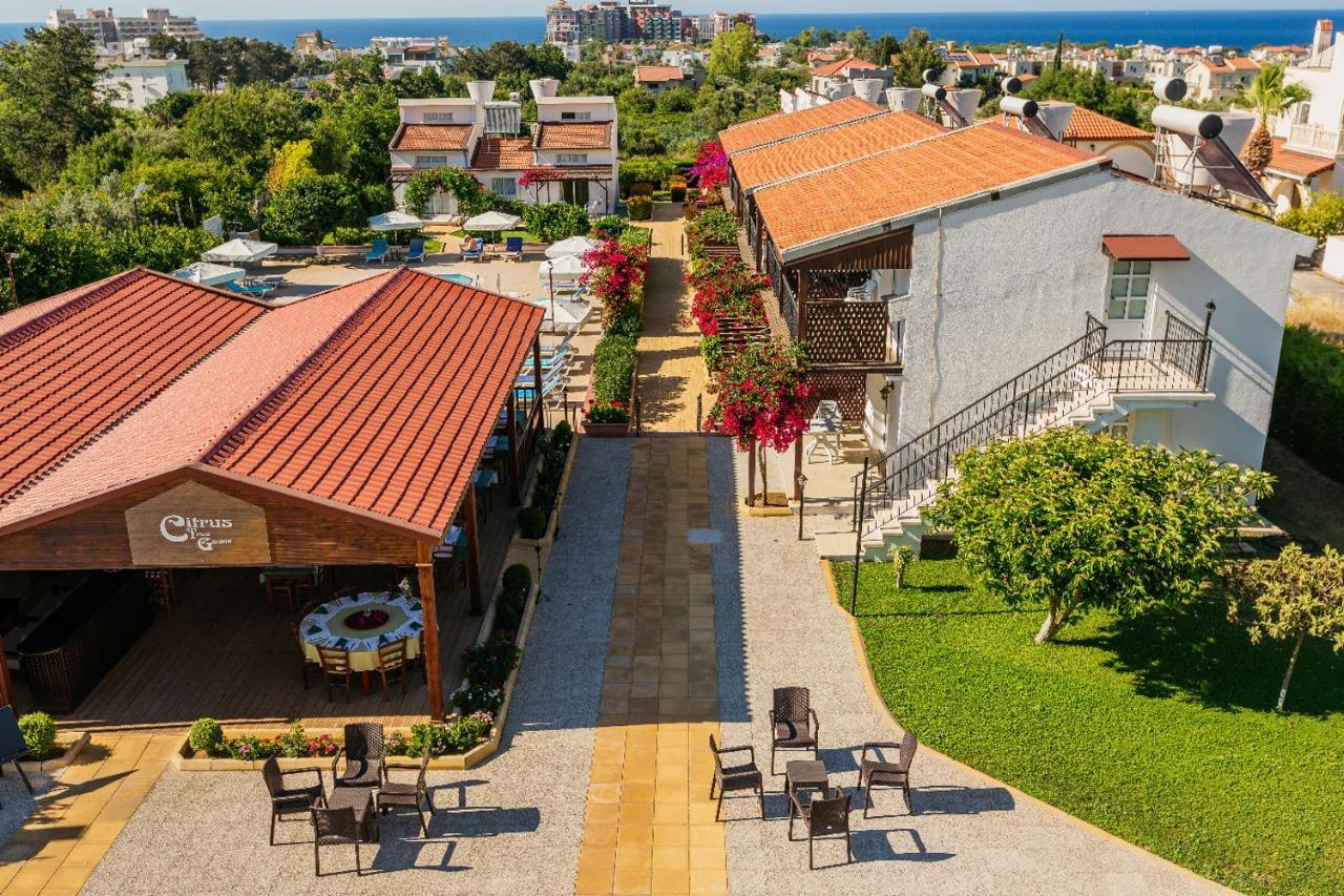 Citrus Tree Gardens Otel Karavas  Dış mekan fotoğraf