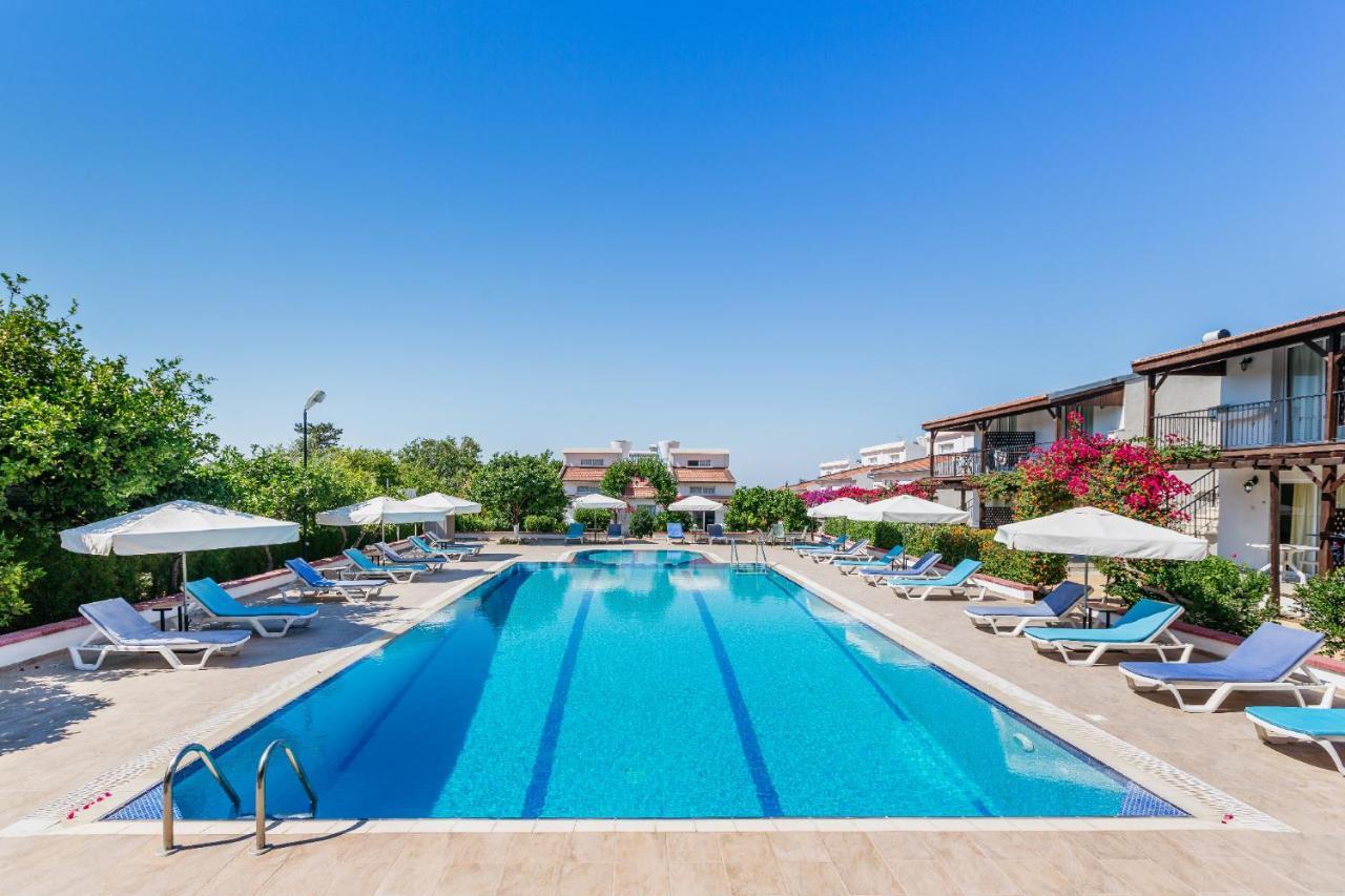 Citrus Tree Gardens Otel Karavas  Dış mekan fotoğraf
