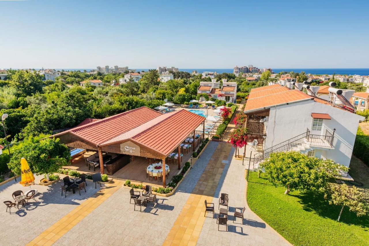 Citrus Tree Gardens Otel Karavas  Dış mekan fotoğraf