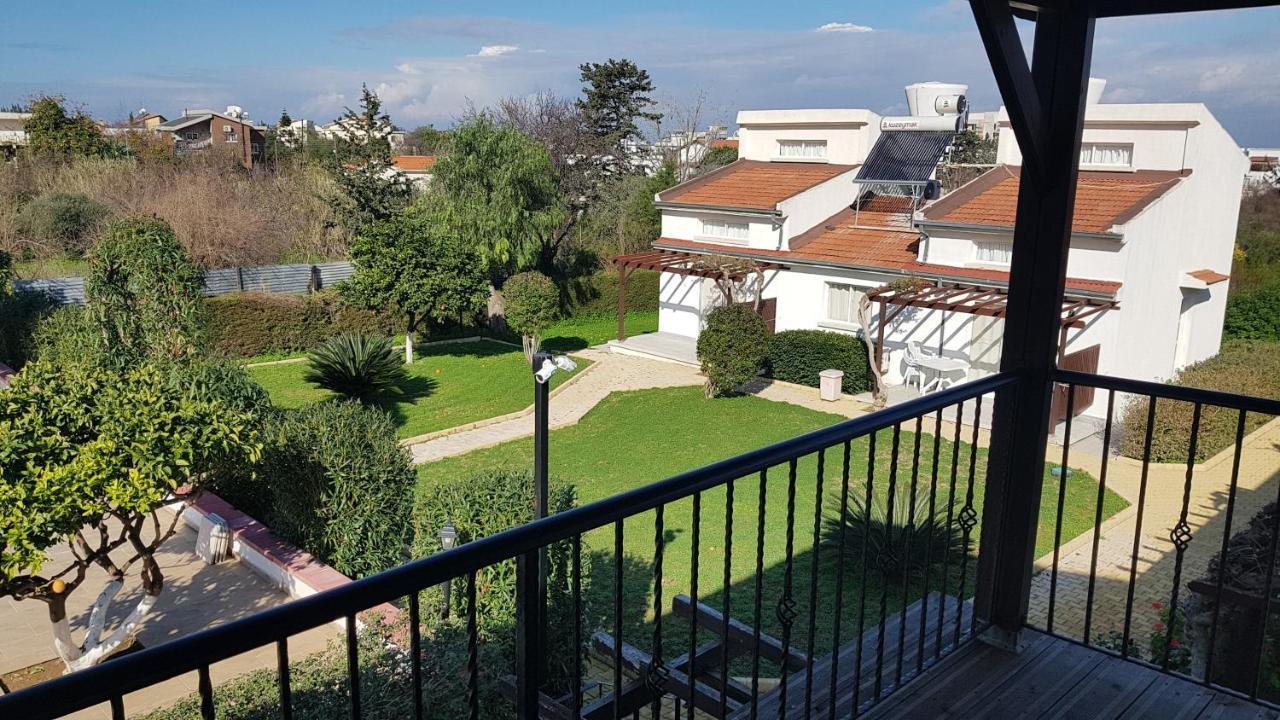 Citrus Tree Gardens Otel Karavas  Dış mekan fotoğraf