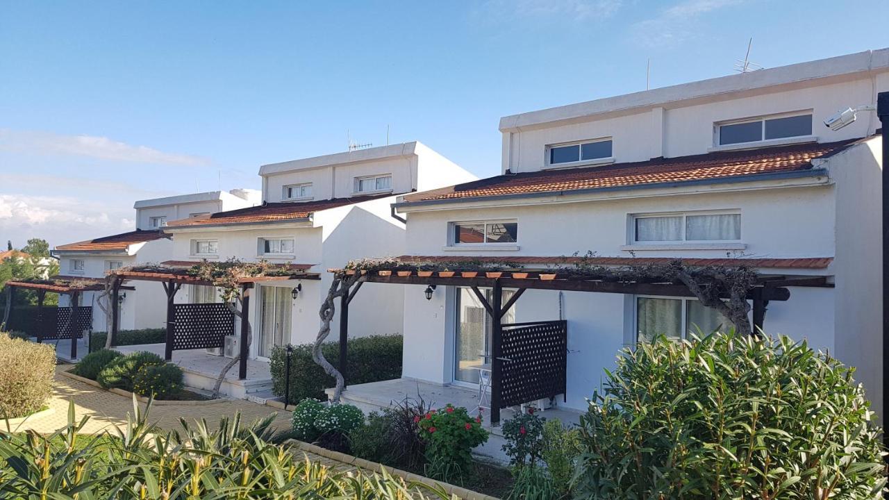 Citrus Tree Gardens Otel Karavas  Dış mekan fotoğraf